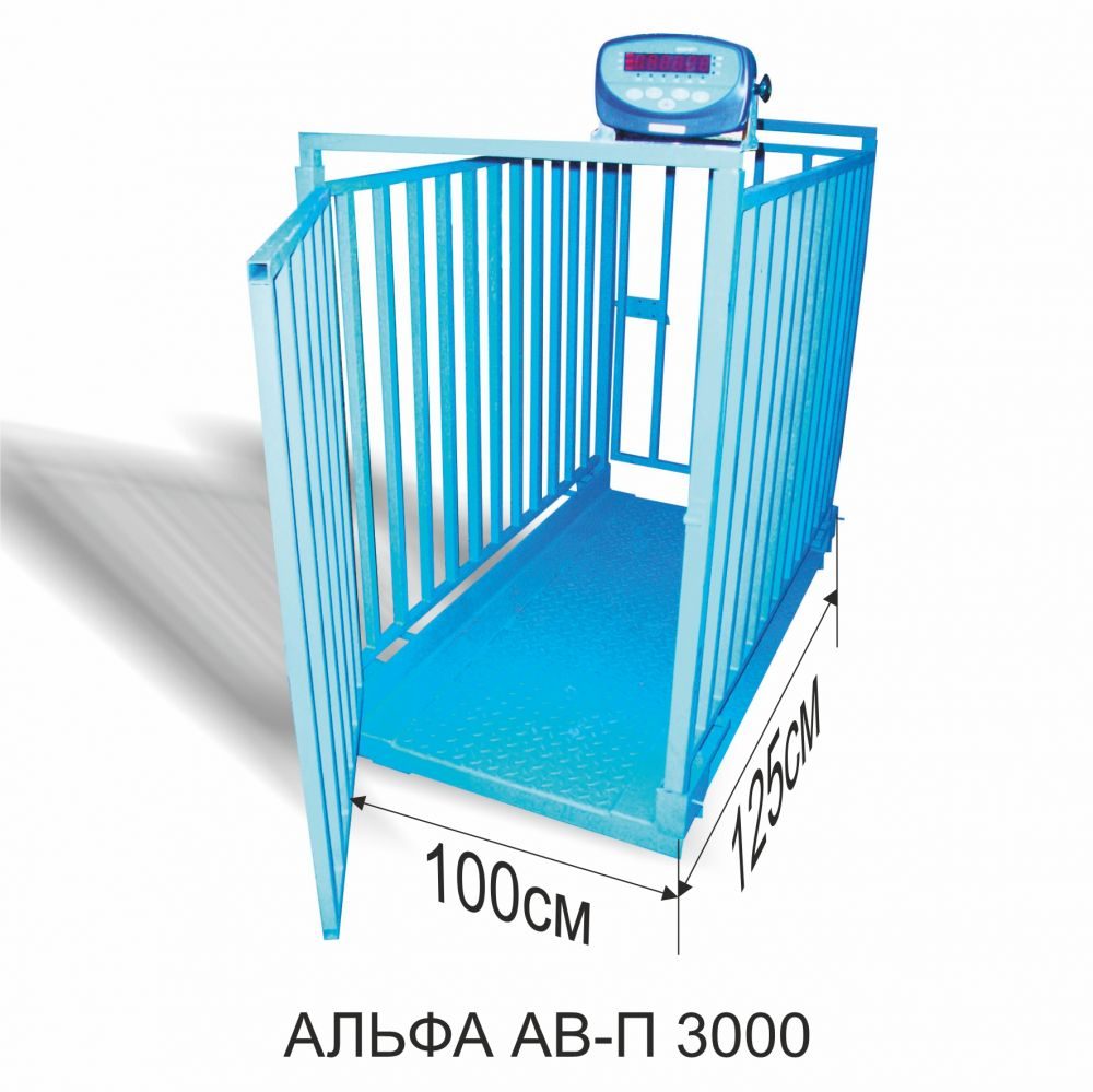 Весы платформенные АЛЬФА ПВ-О-3000 1250х1000